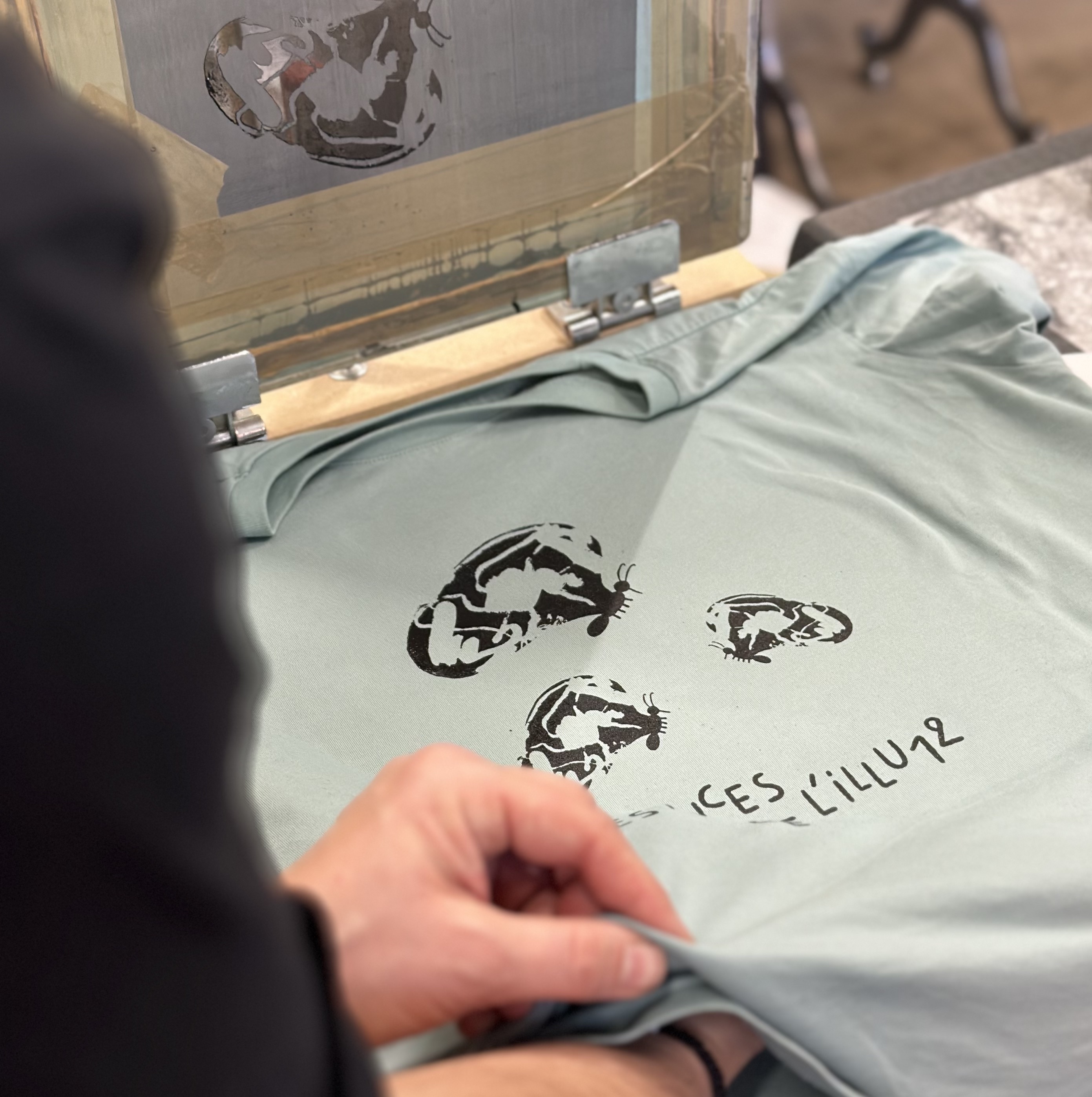 Puces de l&rsquo;Illu